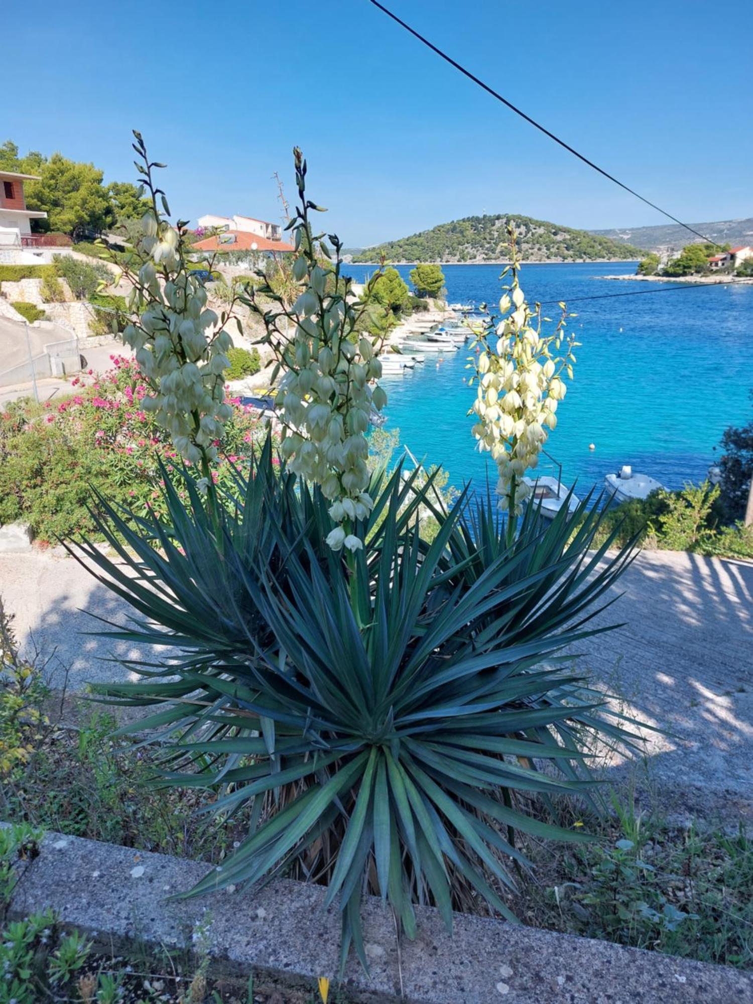 Villa Speranda Ražanj Exterior foto